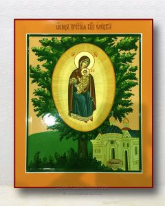 Икона «Елецкая-Черниговская Божия Матерь» Белогорск